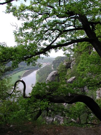 The Elbe River viewed from the Bastei Bridge